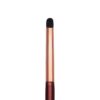 esash-pensula-tip-de-creion